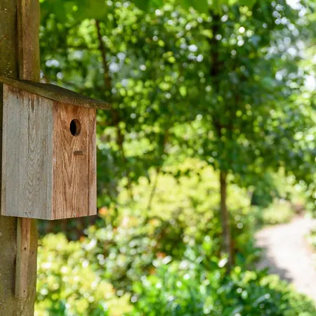 펜션 Luxe Voor 6p Voorzien Alle Gemakken @veluwe 네이케르크