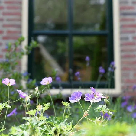 Luxe Voor 6p Voorzien Alle Gemakken @veluwe * Nijkerk