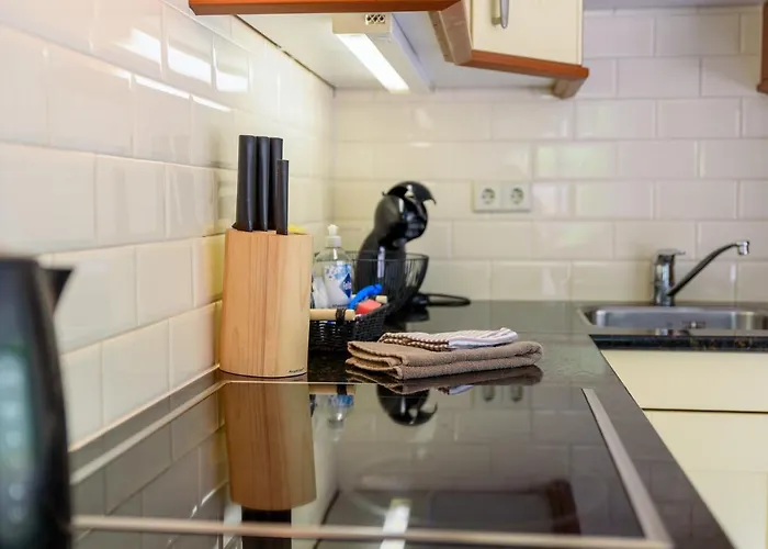 Tatil Evi Luxe Voor 6p Voorzien Alle Gemakken @veluwe