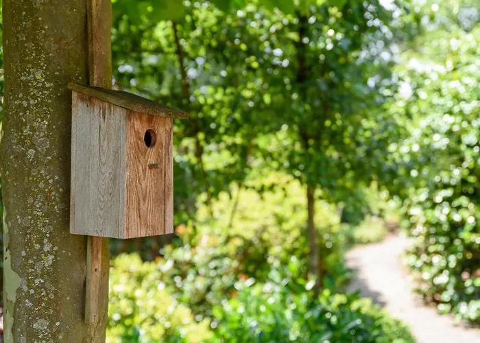 Tatil Evi Luxe Voor 6p Voorzien Alle Gemakken @veluwe Nijkerk